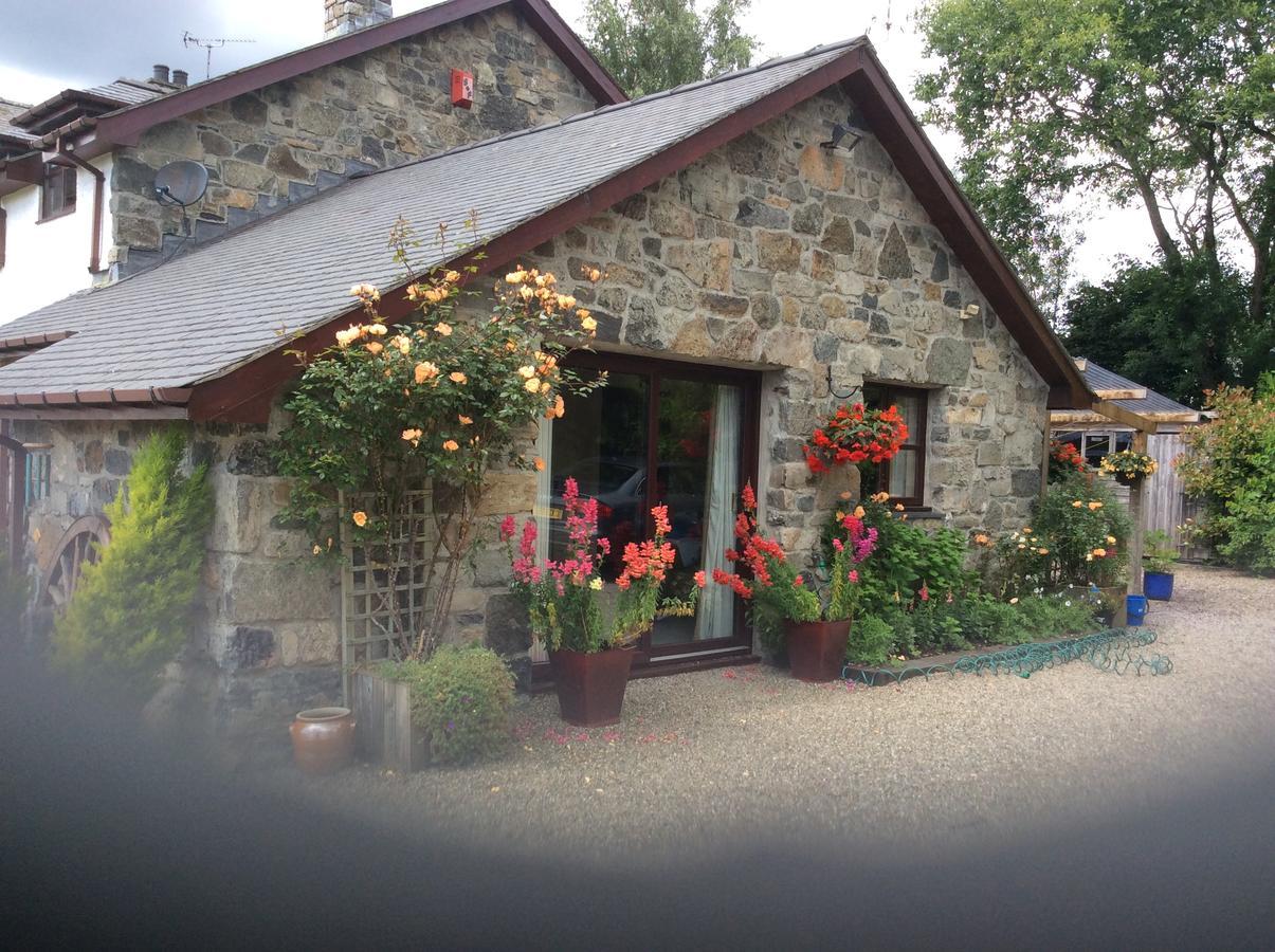 Cysgod Y Garn Bed and Breakfast Bala Εξωτερικό φωτογραφία